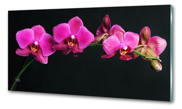 Skleněný panel do kuchynské linky Orchidej pksh-64284743