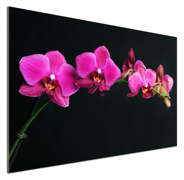Skleněný panel do kuchynské linky Orchidej pksh-64284743