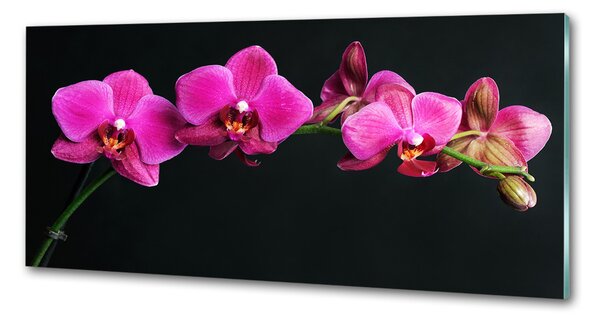 Skleněný panel do kuchynské linky Orchidej pksh-64284743