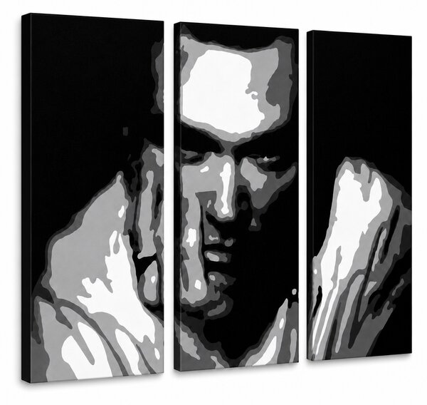 Ručně malovaný obraz POP Art Morrisey 3 dílný mor - 60x40 cm