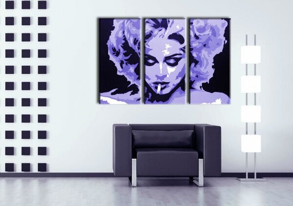 Ručně malovaný obraz POP Art MADONNA, 3dílný obraz 0002 ma - 60x40 cm