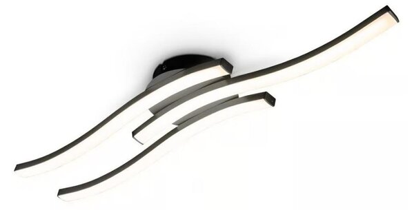 LED Stropní svítidlo 3xLED/6W/230V 2700K černá