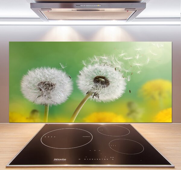 Skleněný panel do kuchynské linky Pampelišky pksh-64415143