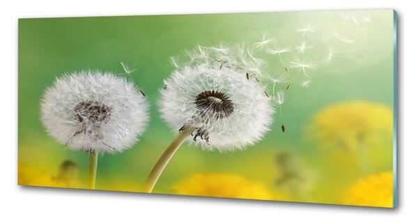 Skleněný panel do kuchynské linky Pampelišky pksh-64415143