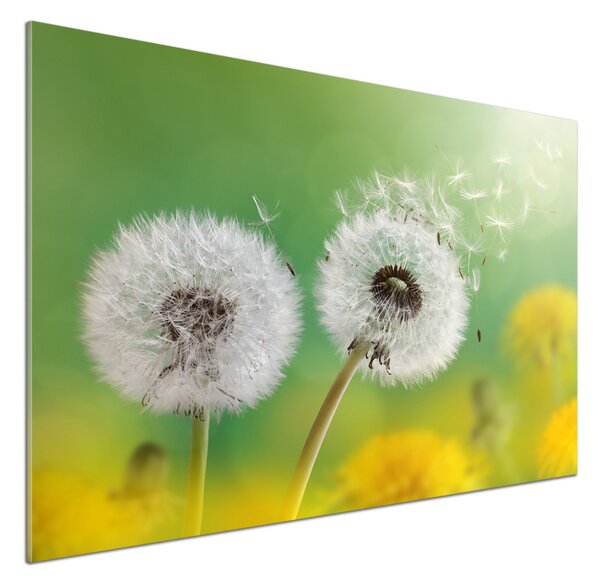 Skleněný panel do kuchynské linky Pampelišky pksh-64415143