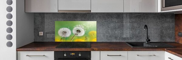 Skleněný panel do kuchynské linky Pampelišky pksh-64415143