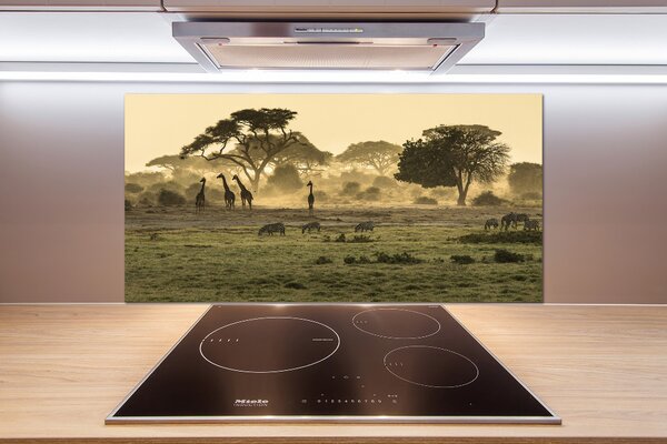 Panel do kuchyně Žirafy na savaně pksh-64472028
