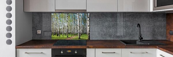 Dekorační panel sklo Břízový les pksh-64516023