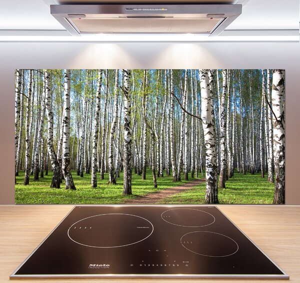 Dekorační panel sklo Břízový les pksh-64516023