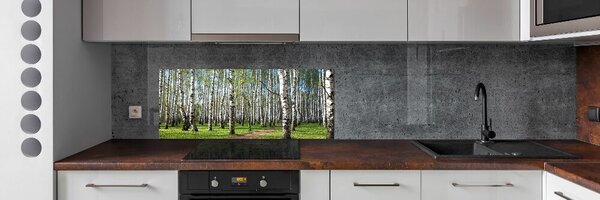 Dekorační panel sklo Břízový les pksh-64516023