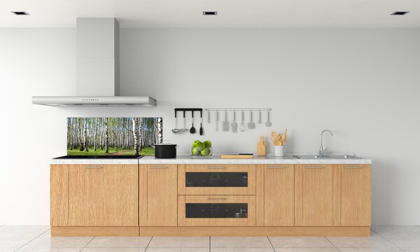 Dekorační panel sklo Břízový les pksh-64516023
