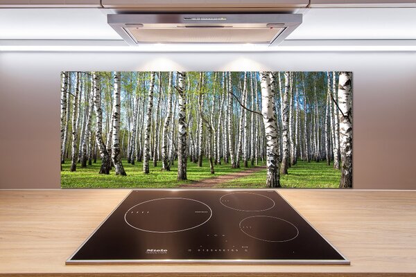 Dekorační panel sklo Břízový les pksh-64516023