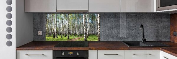 Dekorační panel sklo Břízový les pksh-64516023