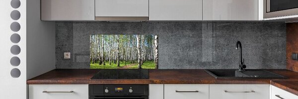 Dekorační panel sklo Břízový les pksh-64516023