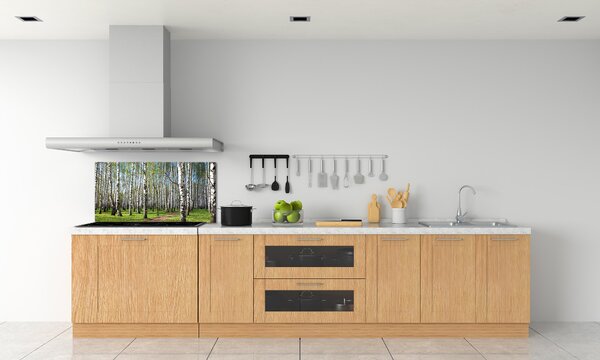 Dekorační panel sklo Břízový les pksh-64516023