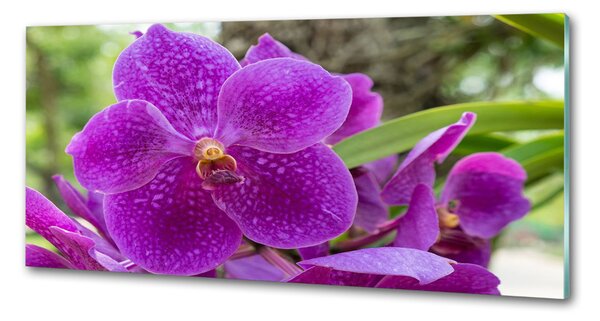 Skleněný panel do kuchynské linky Orchidej pksh-64607986