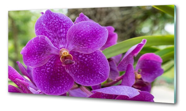 Skleněný panel do kuchynské linky Orchidej pksh-64607986