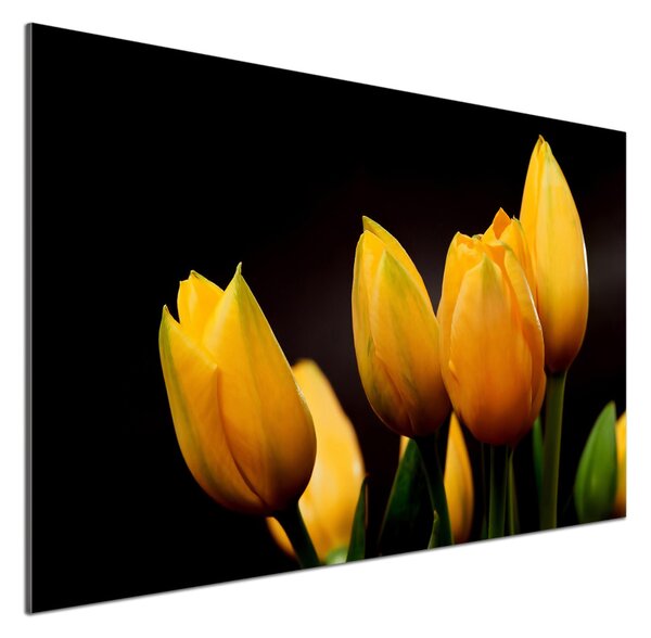 Panel do kuchyně Žluté tulipány pksh-64836622