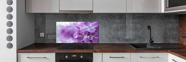 Dekorační panel sklo Květ bzu pksh-64853789