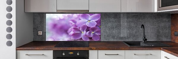 Dekorační panel sklo Květ bzu pksh-64853789