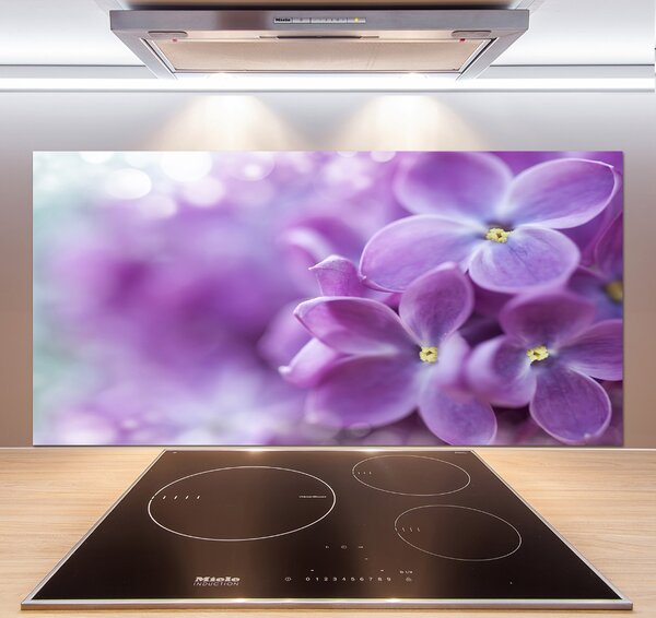 Dekorační panel sklo Květ bzu pksh-64853789