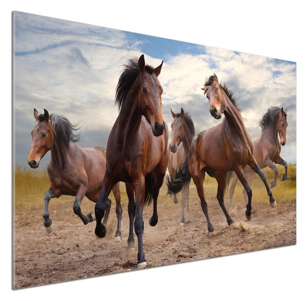 Skleněný panel do kuchynské linky Pět koní pksh-65000408