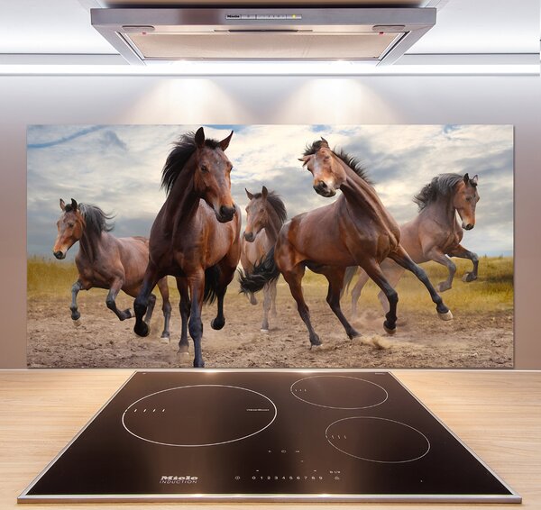 Skleněný panel do kuchynské linky Pět koní pksh-65000408