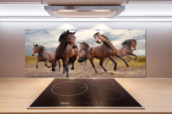 Skleněný panel do kuchynské linky Pět koní pksh-65000408