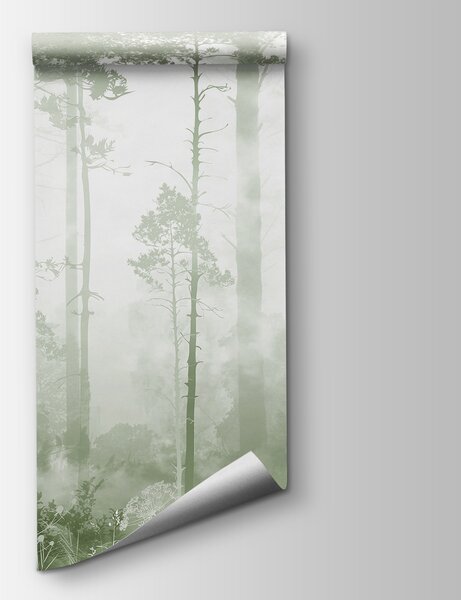 Fototapeta Mlžný les s vysokými stromy, Fototapety s mlžným lesem, Populární fototapety, u94439v2 - Tapeko.co.cz