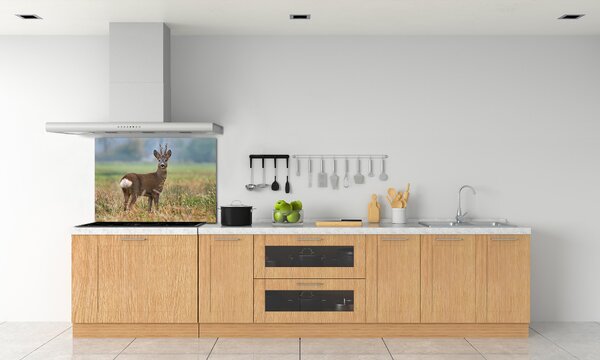 Skleněný panel do kuchyně Srna pksh-65048676