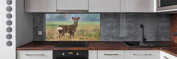Skleněný panel do kuchyně Srna pksh-65048676