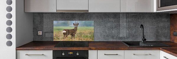 Skleněný panel do kuchyně Srna pksh-65048676
