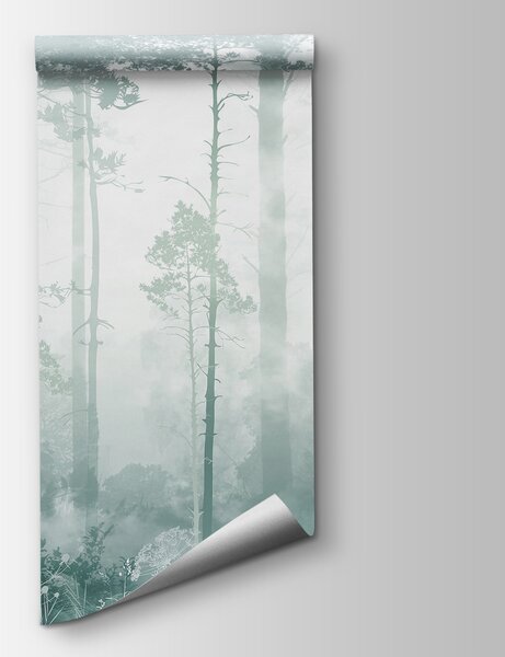 Fototapeta Mlžný les s vysokými stromy, Fototapety s mlžným lesem, Populární fototapety, u94439v3 - Tapeko.co.cz