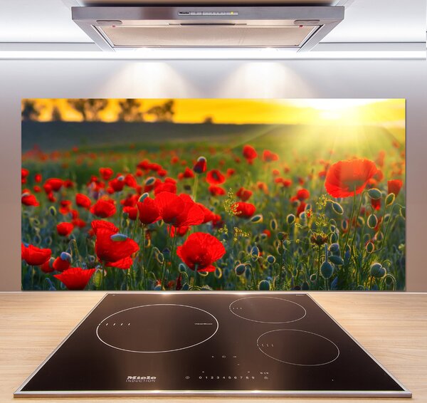Dekorační panel sklo Pole máků pksh-65460599
