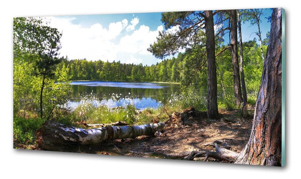 Panel do kuchyně Lesní panorama pksh-65467698