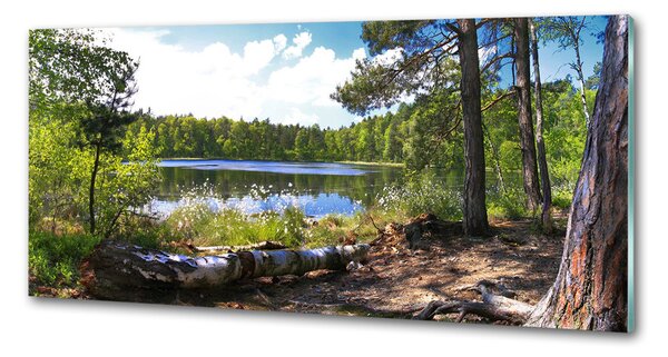 Panel do kuchyně Lesní panorama pksh-65467698
