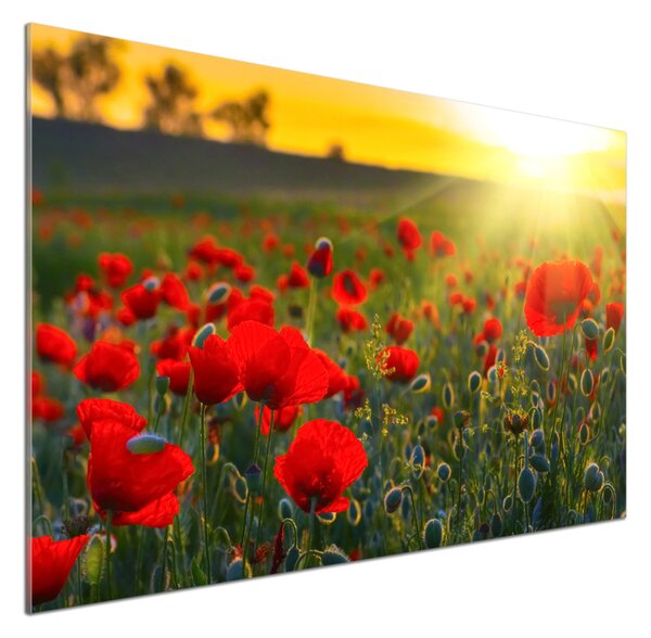 Dekorační panel sklo Pole máků pksh-65460599