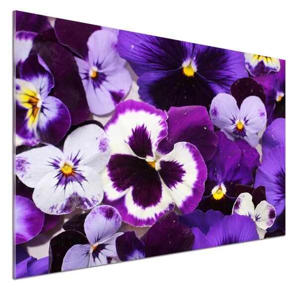 Skleněný panel do kuchyně Fialky pksh-65504990