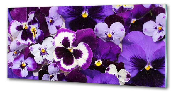 Skleněný panel do kuchyně Fialky pksh-65504990