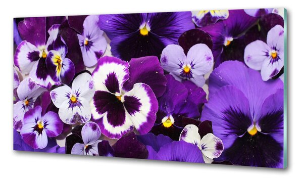 Skleněný panel do kuchyně Fialky pksh-65504990