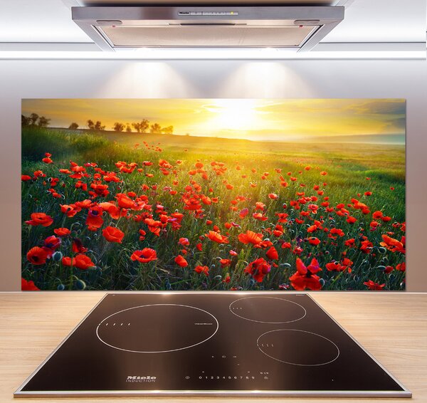 Dekorační panel sklo Pole máků pksh-65609711