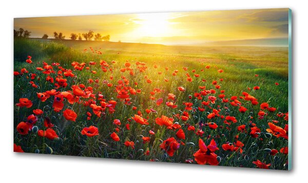 Dekorační panel sklo Pole máků pksh-65609711