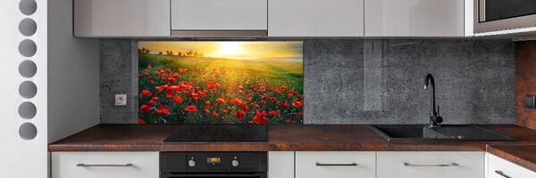 Dekorační panel sklo Pole máků pksh-65609711