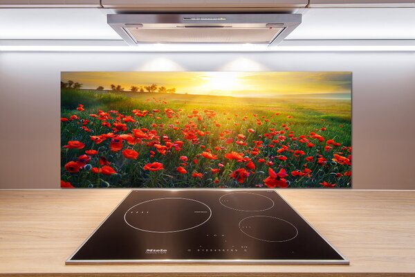 Dekorační panel sklo Pole máků pksh-65609711