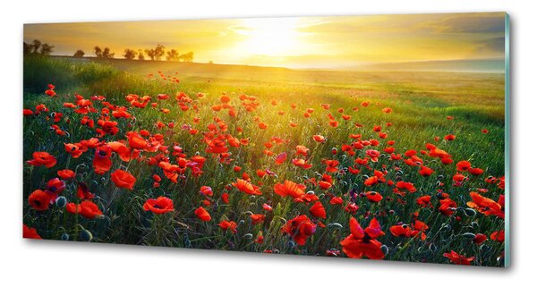 Dekorační panel sklo Pole máků pksh-65609711