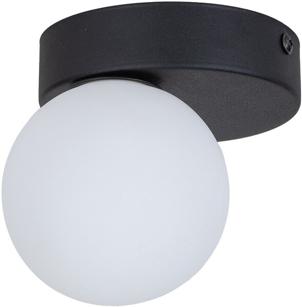 TK Lighting Bianca Black stropní světlo 1x6 W bílá-černá 5681