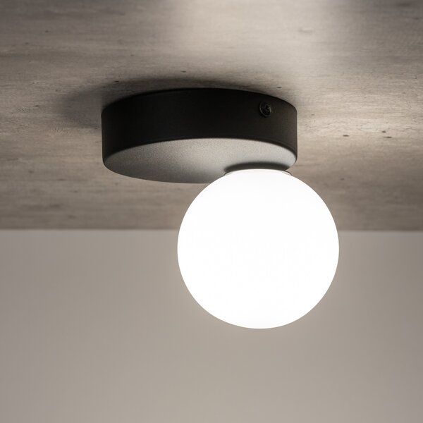 TK Lighting Bianca Black stropní světlo 1x6 W bílá-černá 5681