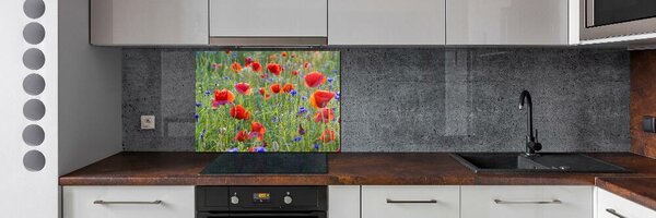 Dekorační panel sklo Plolní květiny pksh-65958845