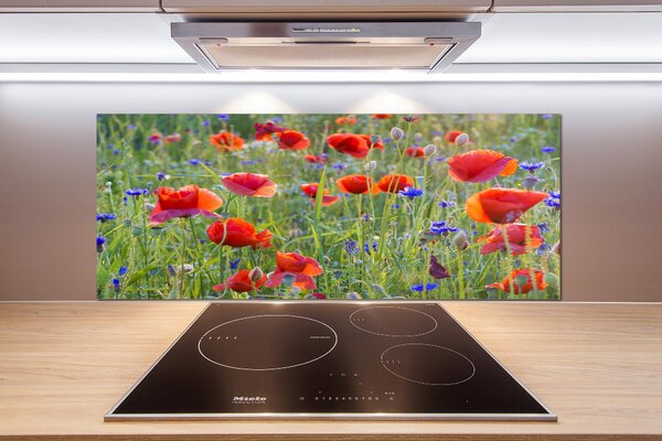 Dekorační panel sklo Plolní květiny pksh-65958845