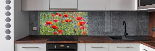 Dekorační panel sklo Plolní květiny pksh-65958845